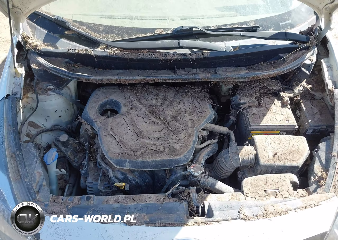 2014 Kia Rio Lx VIN:KNADM4A38E6396024 - 10