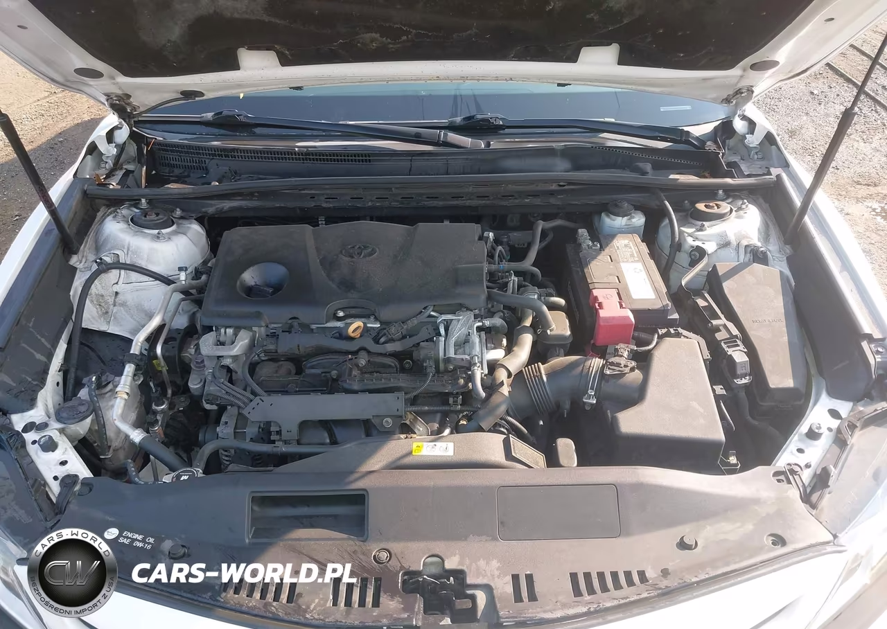 2019 Toyota Camry Se VIN:4T1B11HK2KU742618 - 10