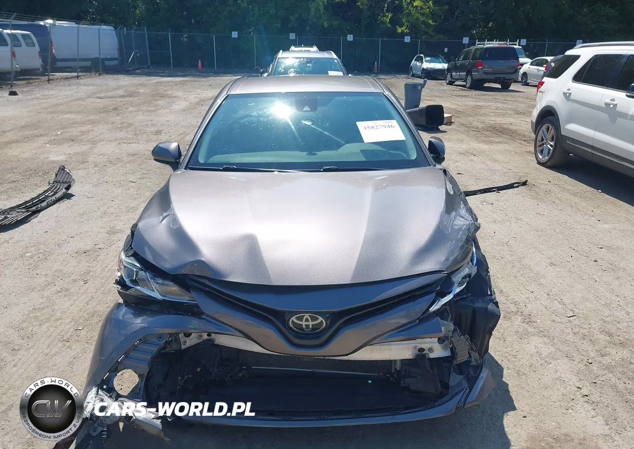 2019 Toyota Camry Le VIN:4T1B11HK1KU202080 - 12