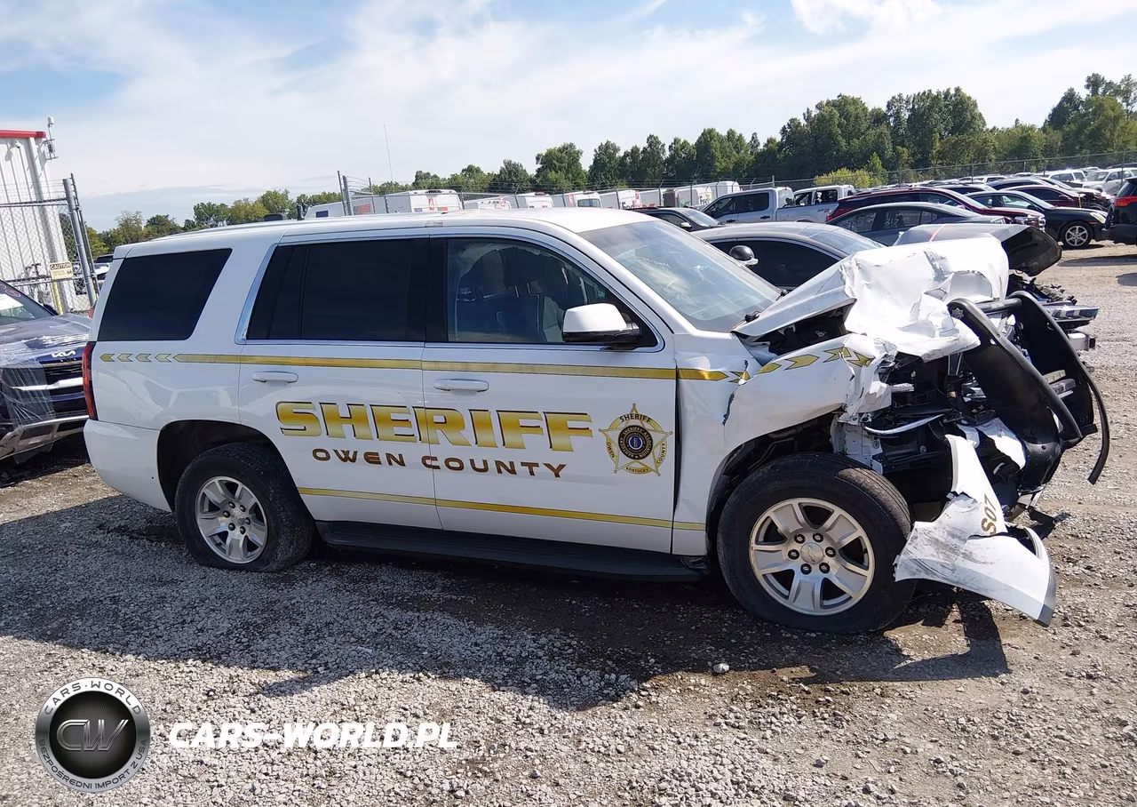 2019 Chevrolet Tahoe Commercial Fleet VIN:1GNSKDEC7KR390890 - 13