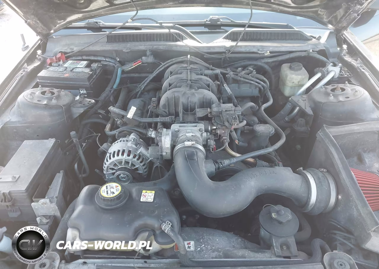 2006 Ford Mustang V6 VIN:1ZVHT84N565256268 - 10