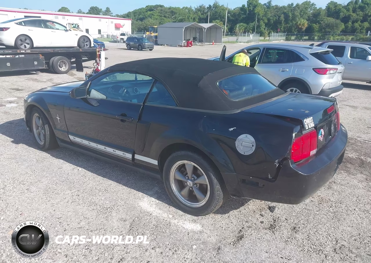2006 Ford Mustang V6 VIN:1ZVHT84N565256268 - 3