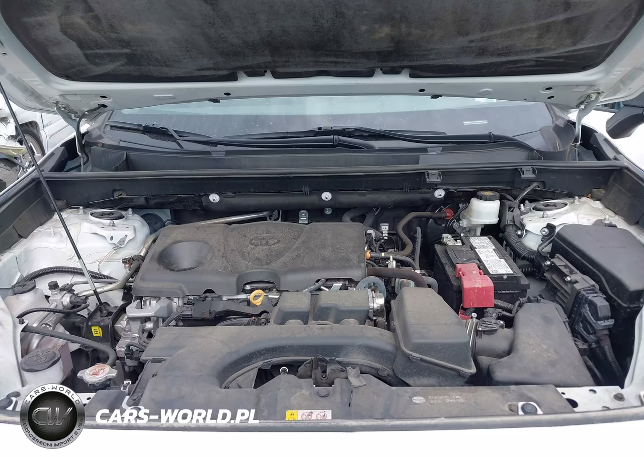 2023 Toyota Rav4 Le VIN:2T3H1RFV9PC216248 - 10