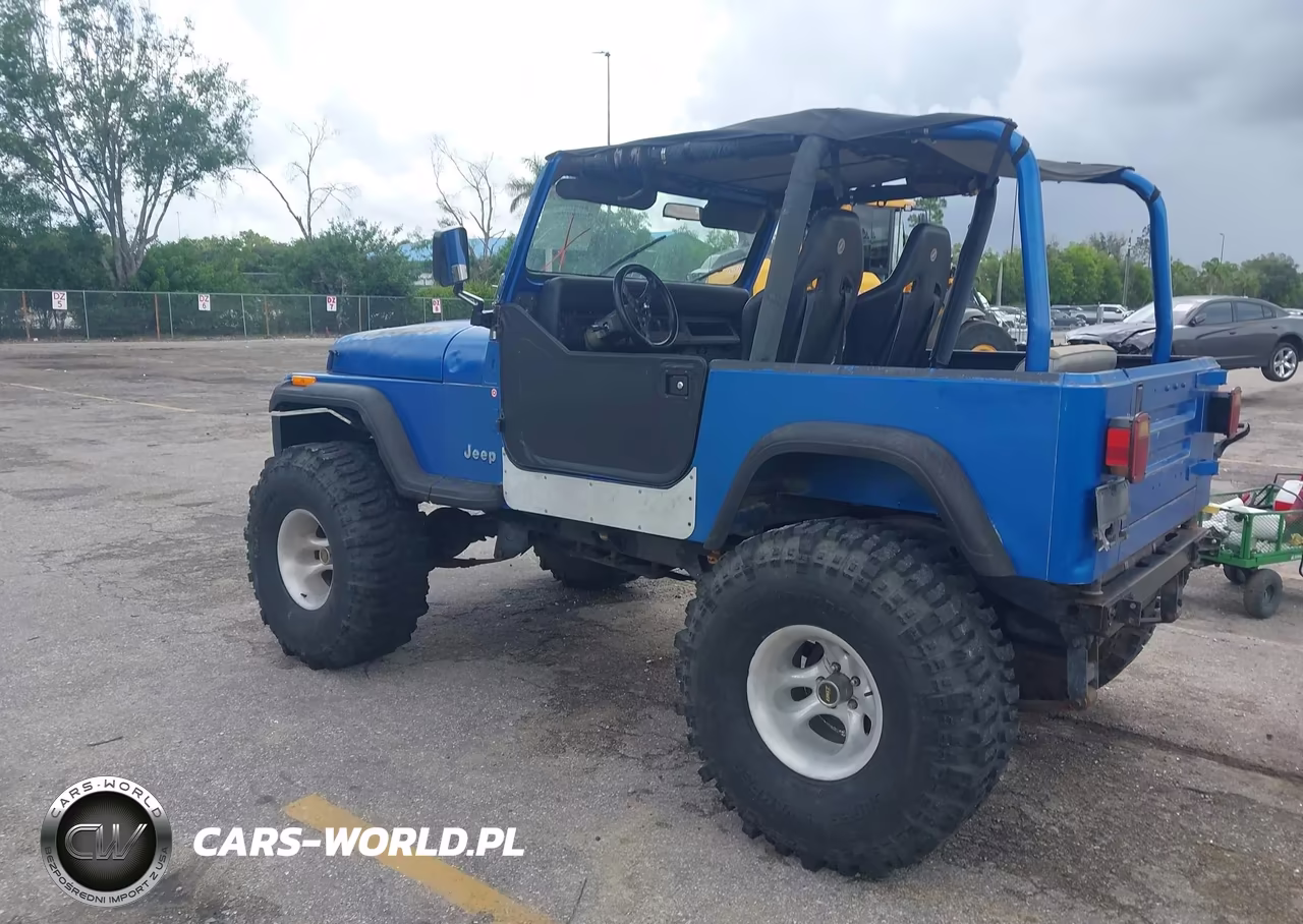 1992 Jeep Wrangler - Yj VIN:2J4FY29S5NJ523958 - 3