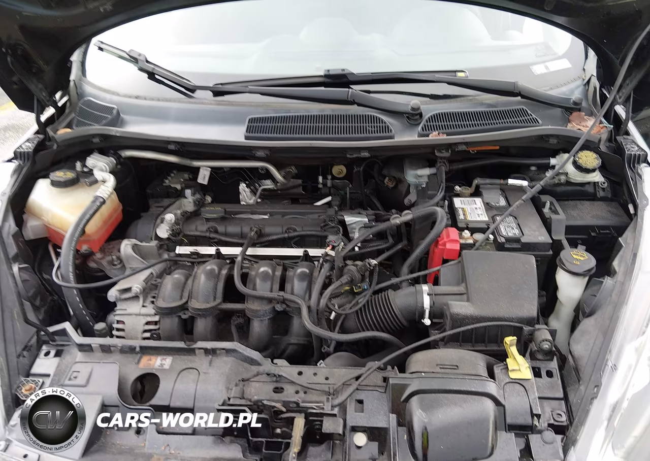FORD FIESTA VIN:3FADP4AJ3GM166554 - 10