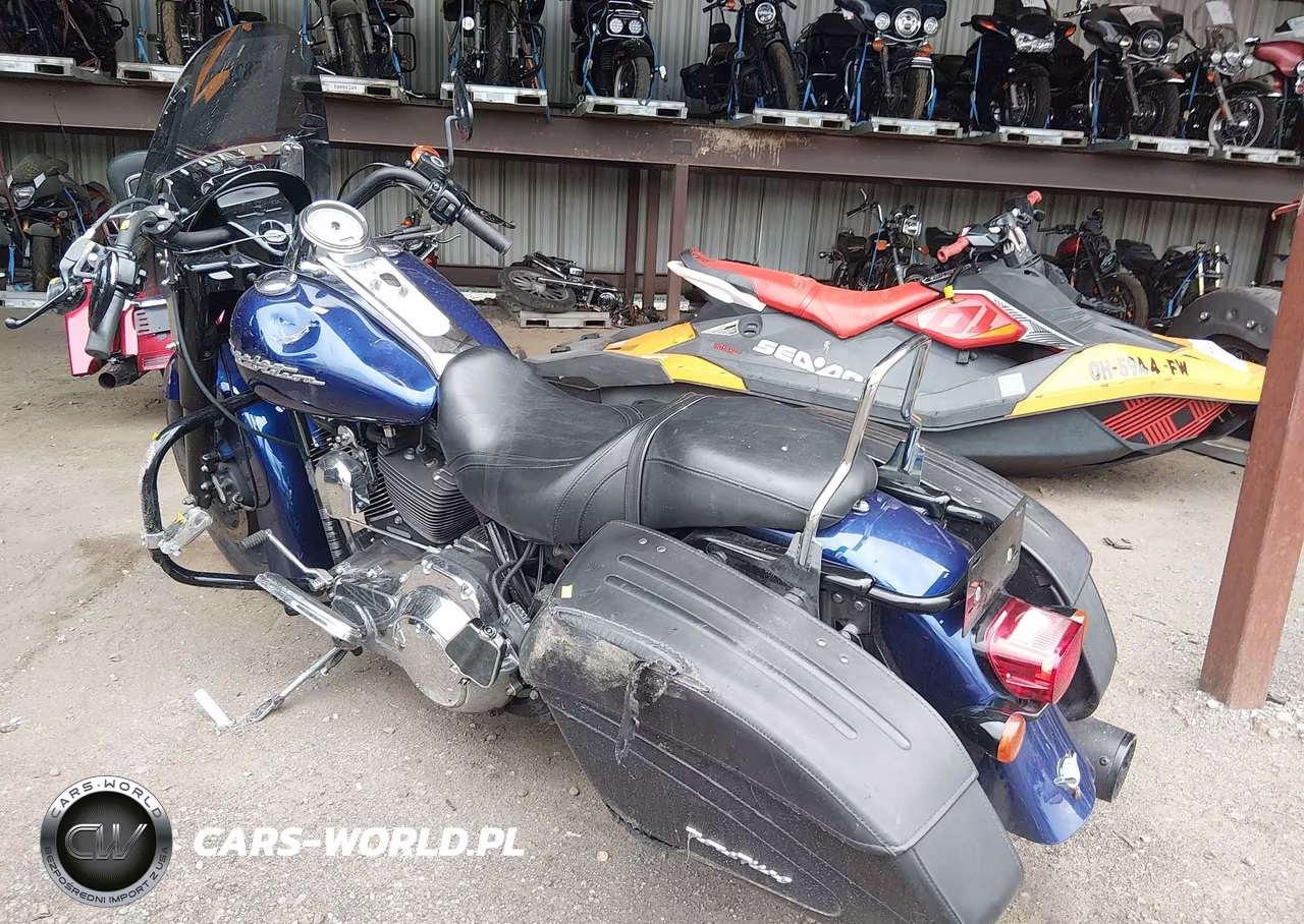 2007 Harley-Davidson Flhrs VIN:1HD1FY4197Y679006 - 3