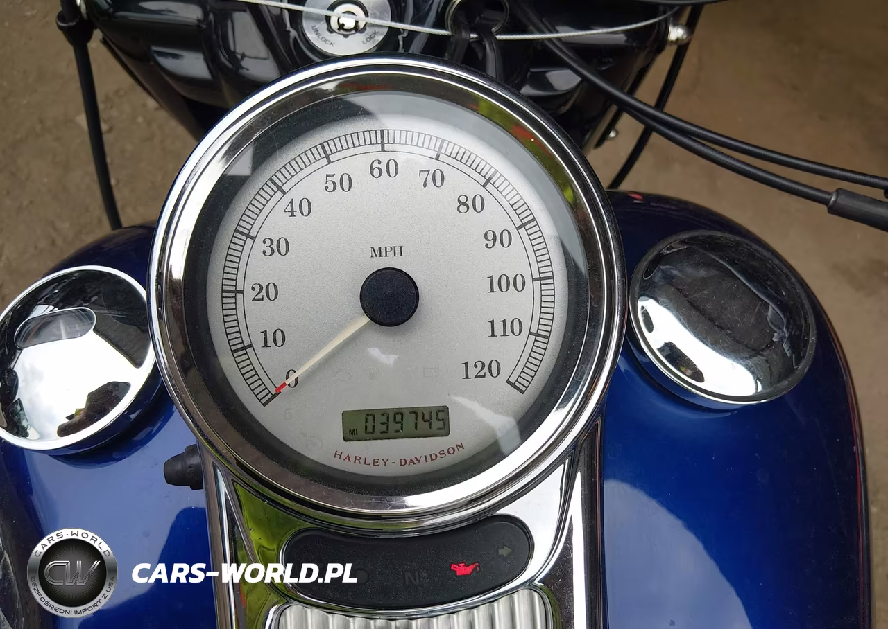 2007 Harley-Davidson Flhrs VIN:1HD1FY4197Y679006 - 7