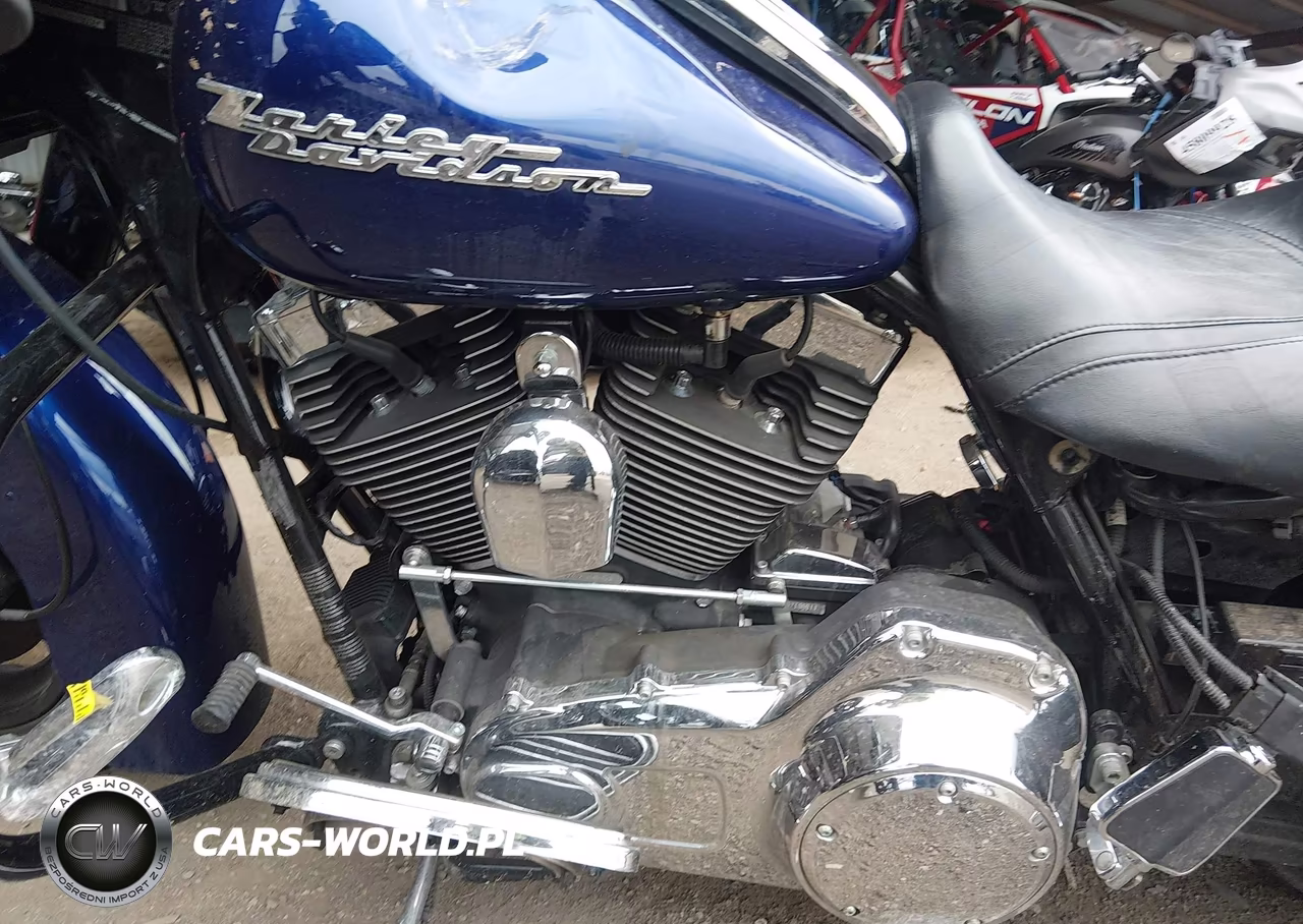 2007 Harley-Davidson Flhrs VIN:1HD1FY4197Y679006 - 9