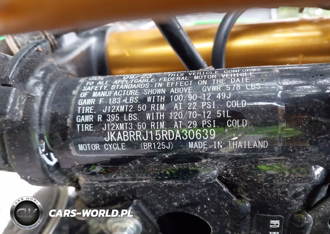 2024 Kawasaki Br125 J VIN:JKABRRJ15RDA30639 - 10