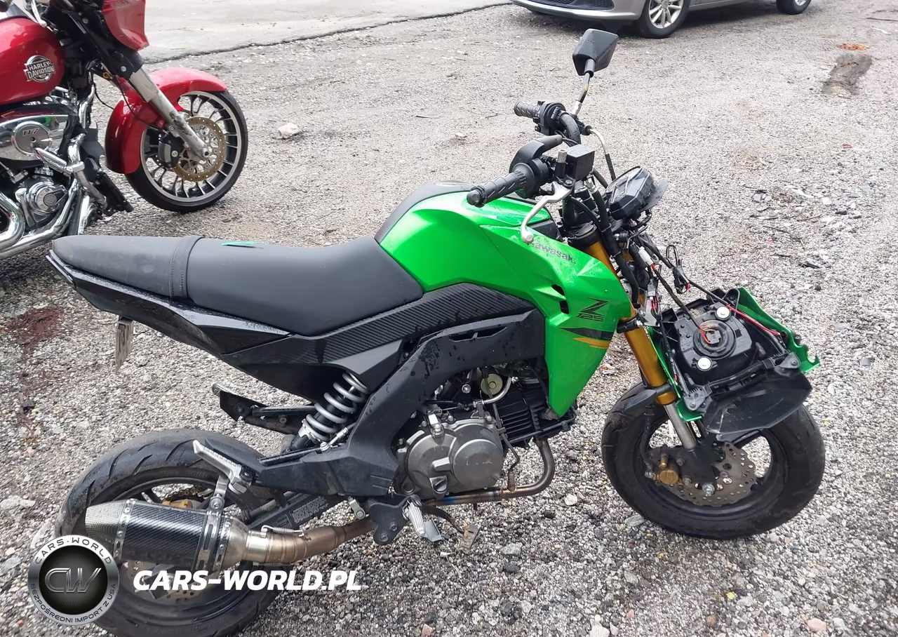 2024 Kawasaki Br125 J VIN:JKABRRJ15RDA30639 - 12
