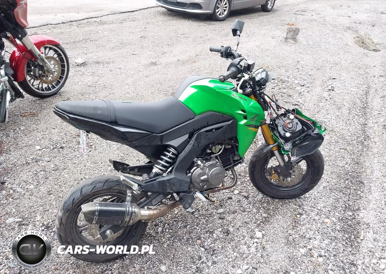 2024 Kawasaki Br125 J VIN:JKABRRJ15RDA30639 - 4