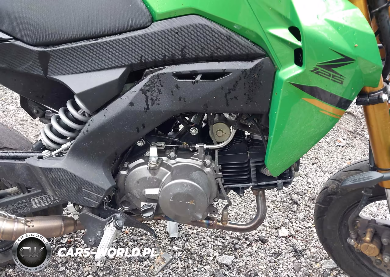 2024 Kawasaki Br125 J VIN:JKABRRJ15RDA30639 - 8