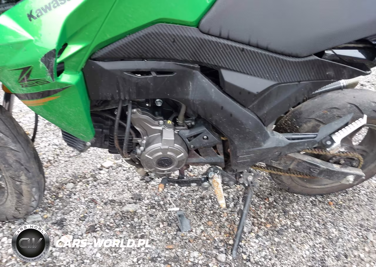 2024 Kawasaki Br125 J VIN:JKABRRJ15RDA30639 - 9