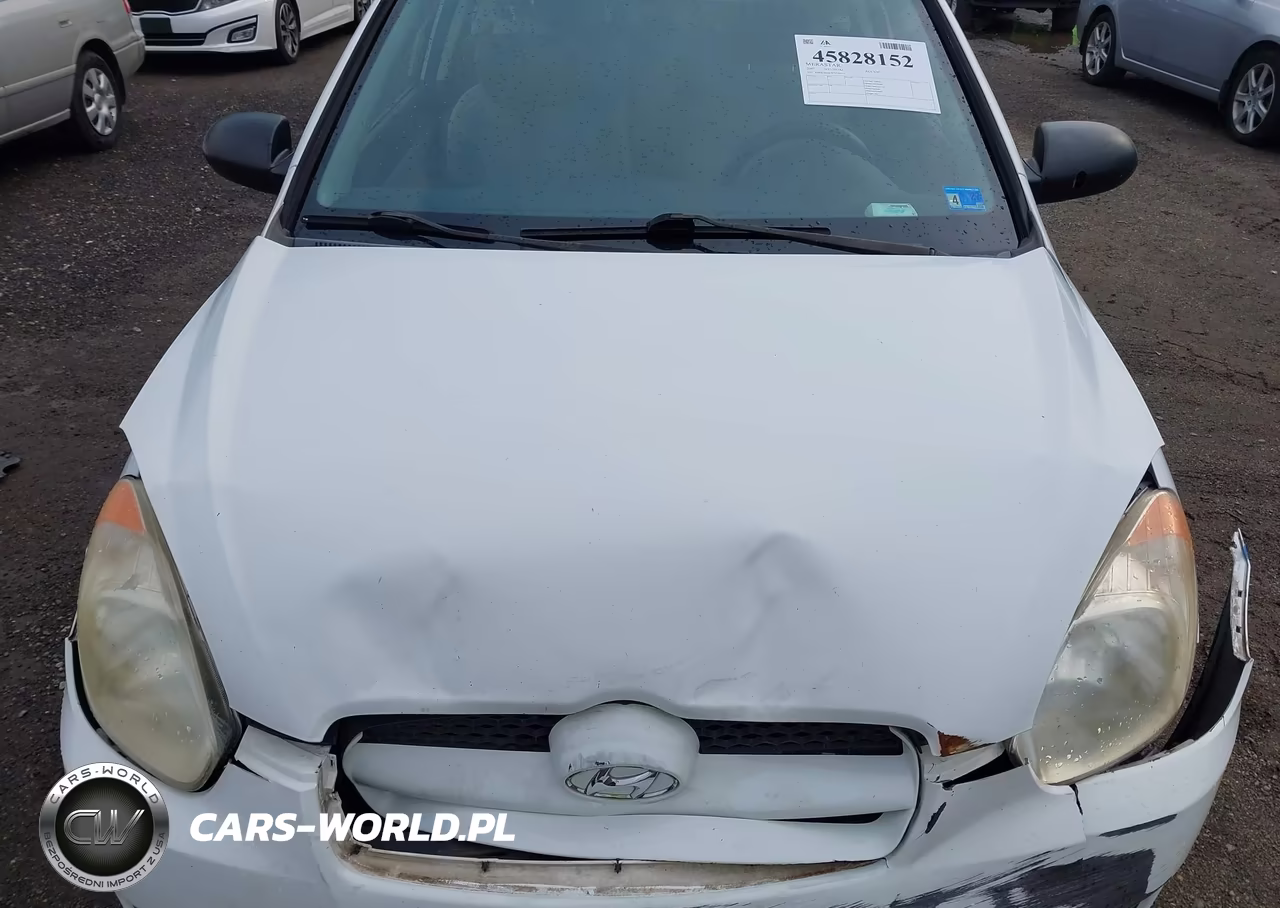 2007 Hyundai Accent Gs VIN:KMHCM36C87U046954 - 10