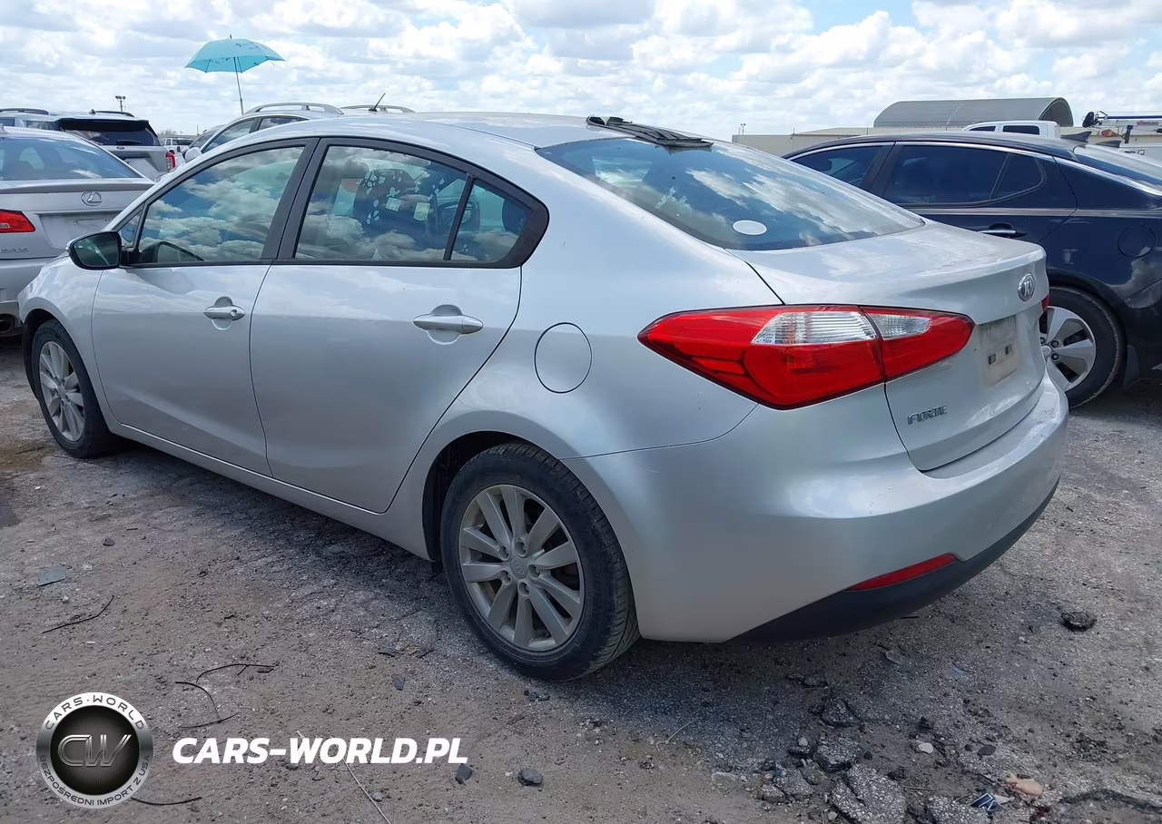 2014 Kia Forte Lx VIN:KNAFX4A60E5208807 - 3