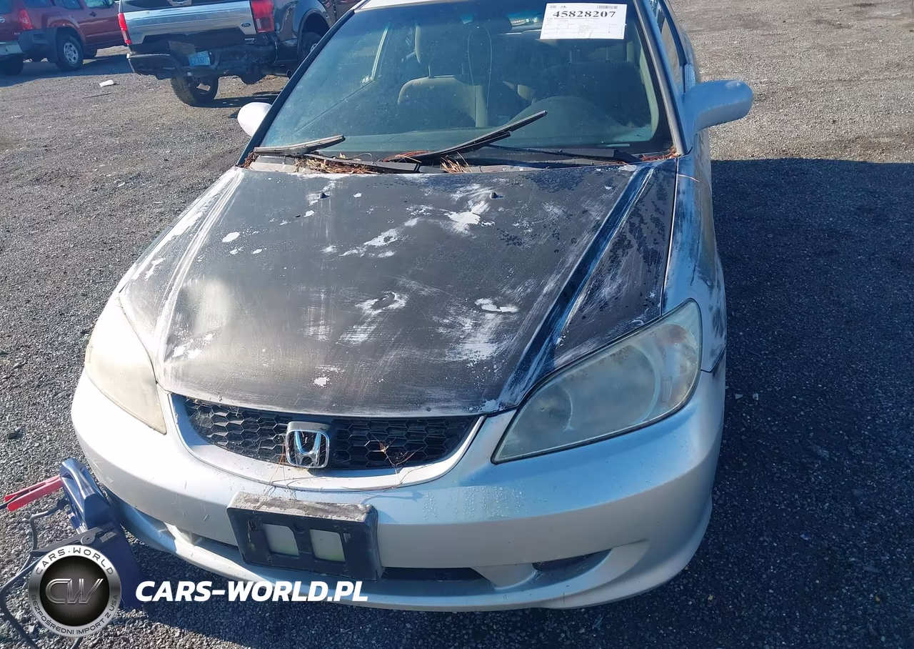 2001 Honda Civic VIN:1HGEM22965L057599 - 6