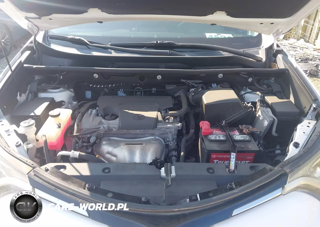2017 Toyota Rav4 Xle VIN:2T3WFREV4HW404864 - 10