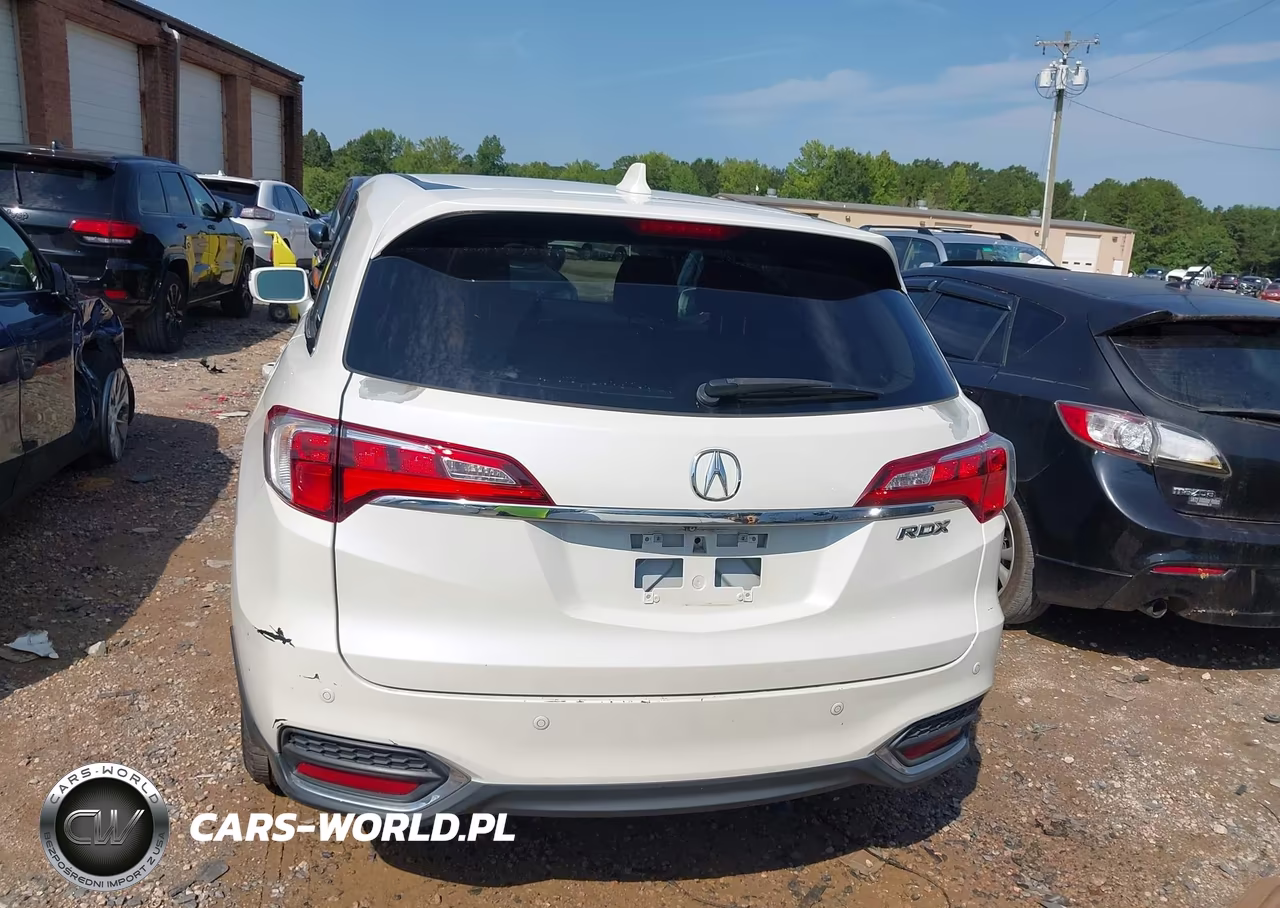 2017 Acura Rdx Advance Package VIN:5J8TB3H76HL008920 - 16