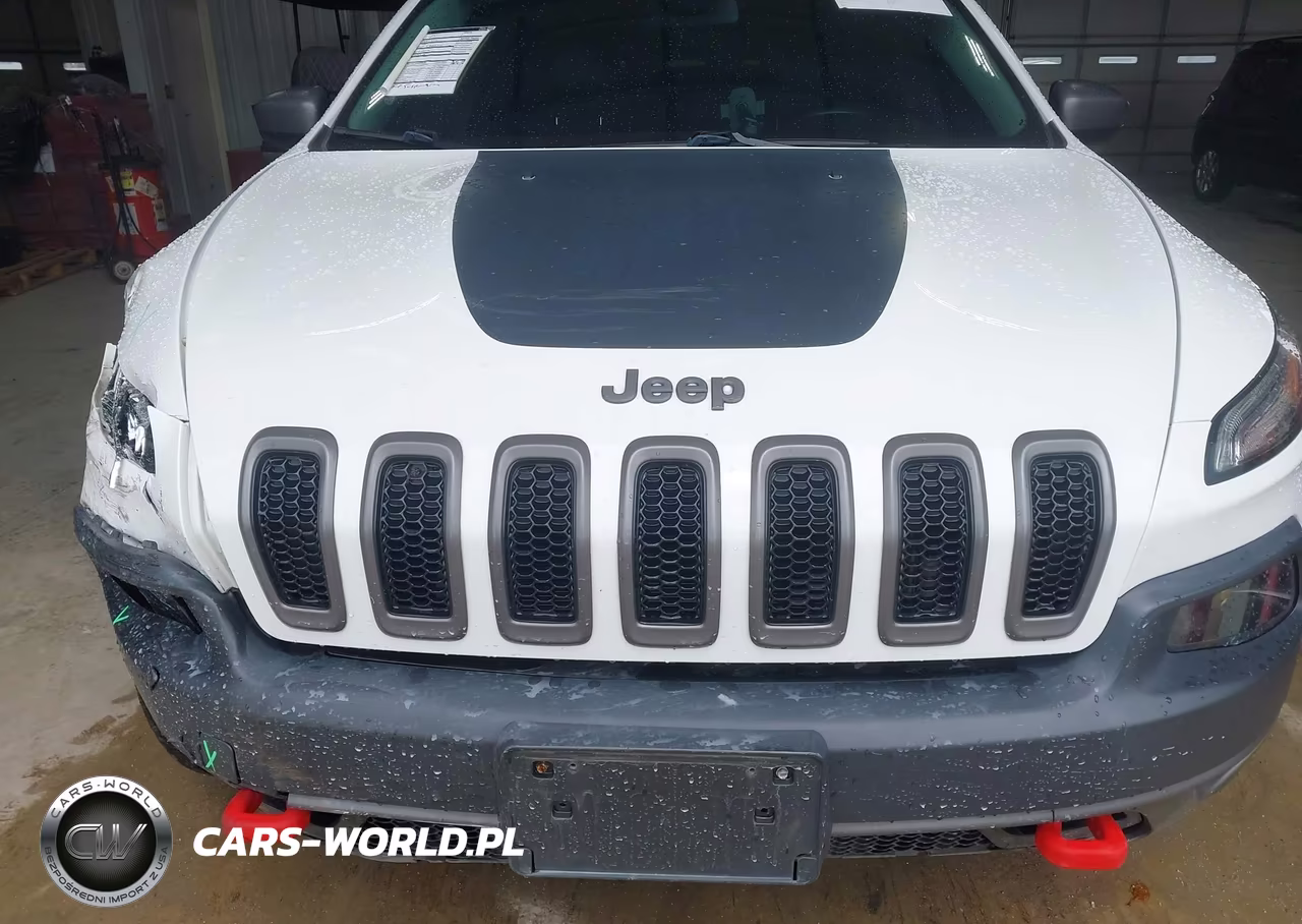 2017 Jeep Cherokee Trailhawk VIN:1C4PJMBB3HW581701 - 12