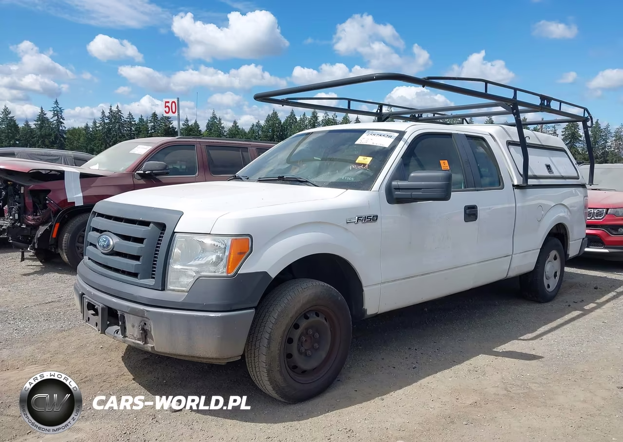 2009 Ford F-150 Stx-Xl VIN:1FTRX12W39FA49133 - 2