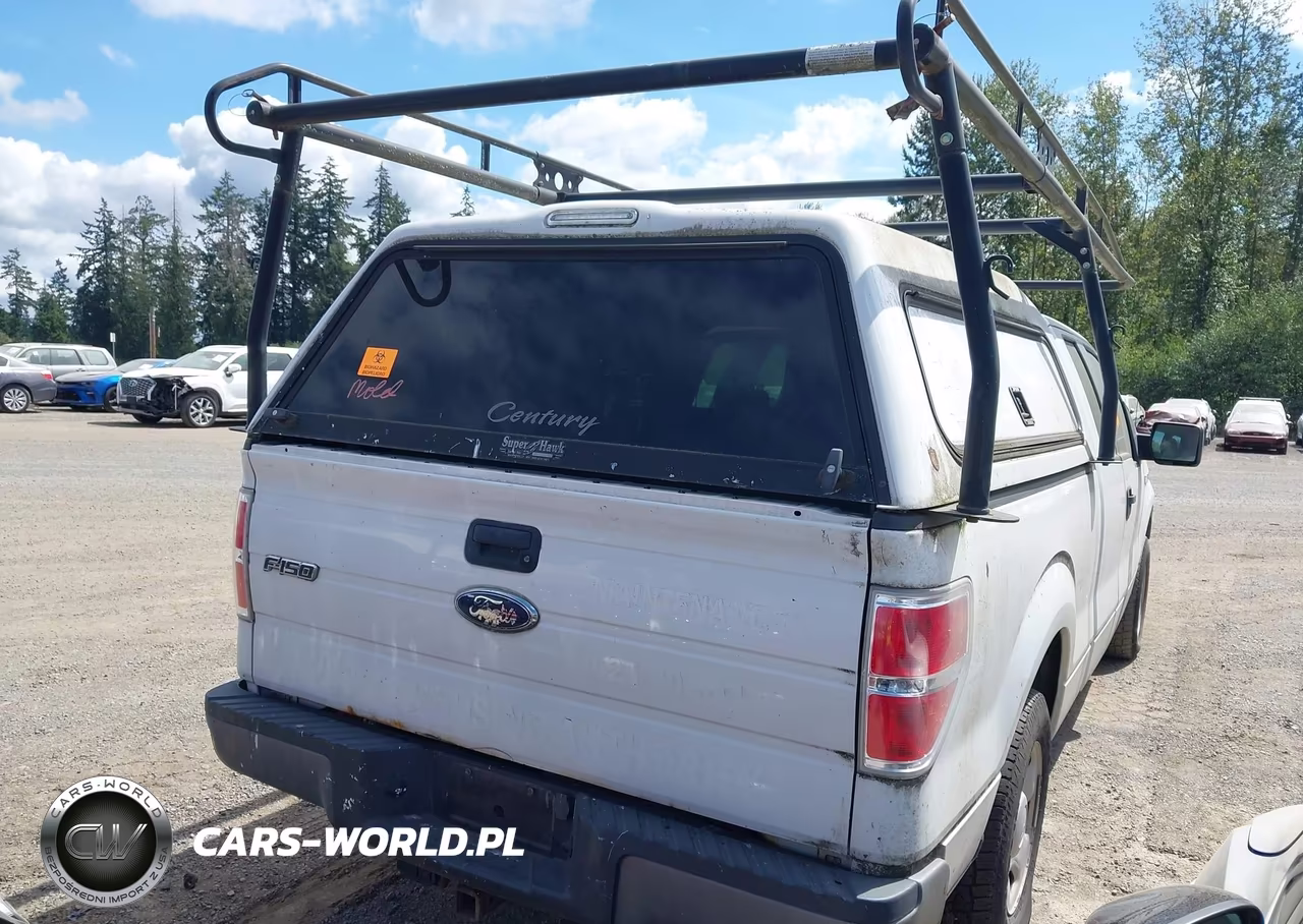 2009 Ford F-150 Stx-Xl VIN:1FTRX12W39FA49133 - 4
