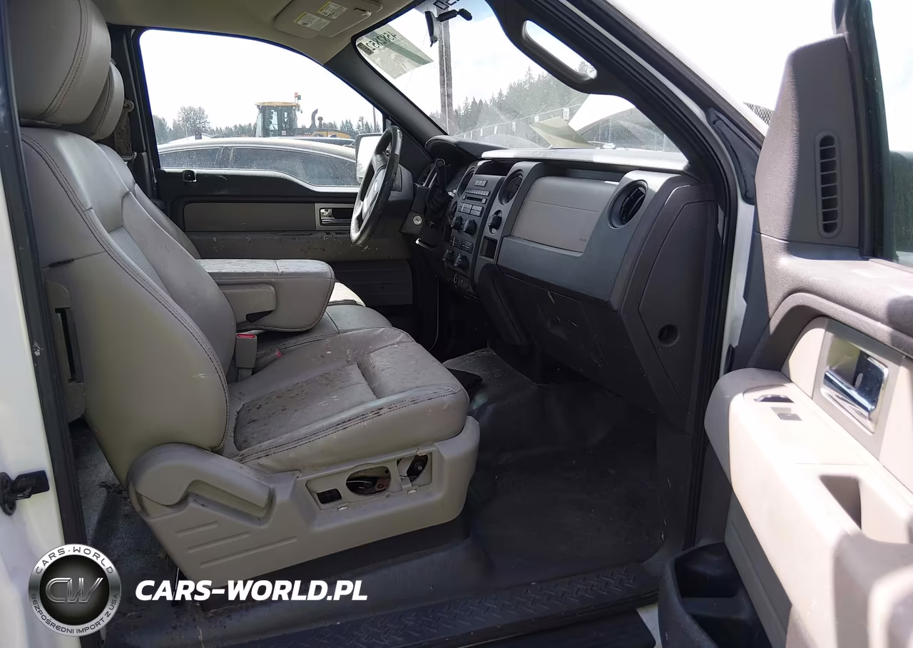 2009 Ford F-150 Stx-Xl VIN:1FTRX12W39FA49133 - 5