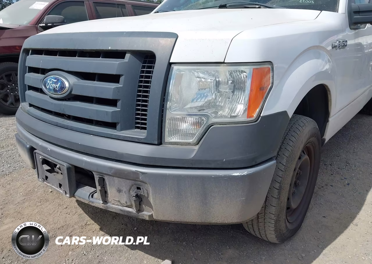 2009 Ford F-150 Stx-Xl VIN:1FTRX12W39FA49133 - 6