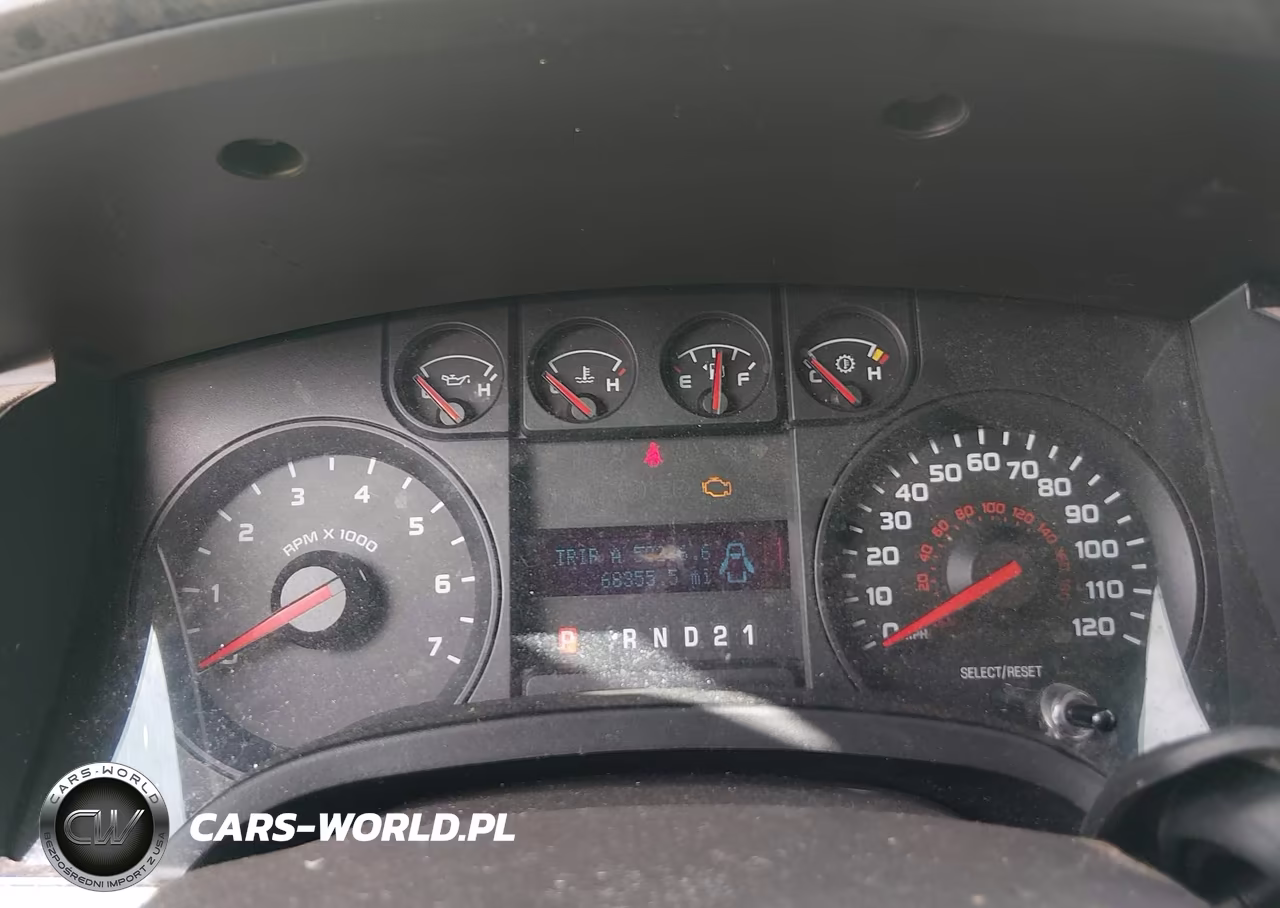 2009 Ford F-150 Stx-Xl VIN:1FTRX12W39FA49133 - 7