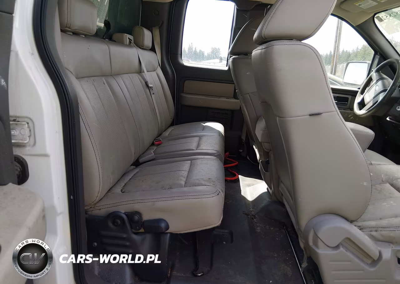 2009 Ford F-150 Stx-Xl VIN:1FTRX12W39FA49133 - 8
