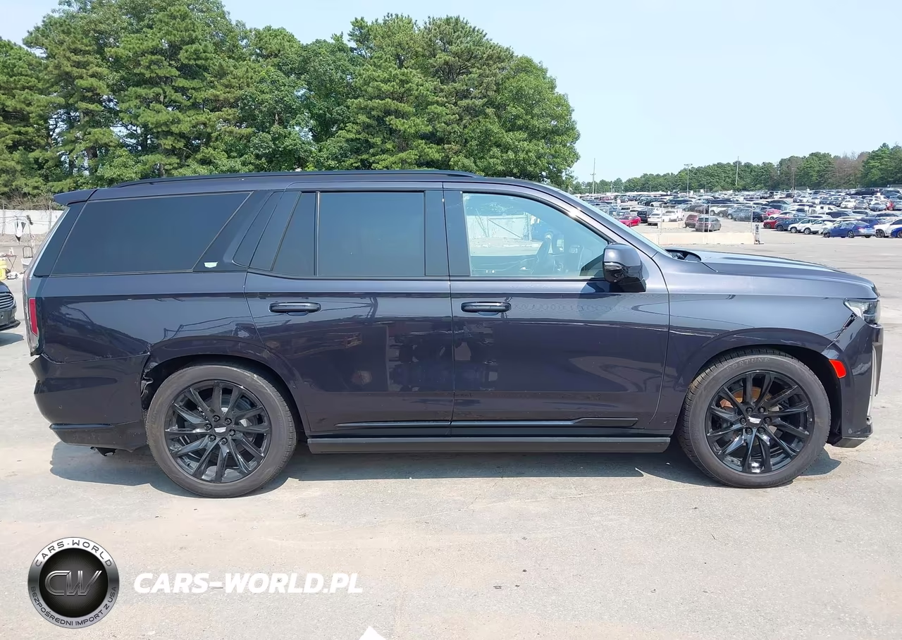 2023 Cadillac Escalade 4Wd Sport VIN:1GYS4FKL4PR136493 - 13
