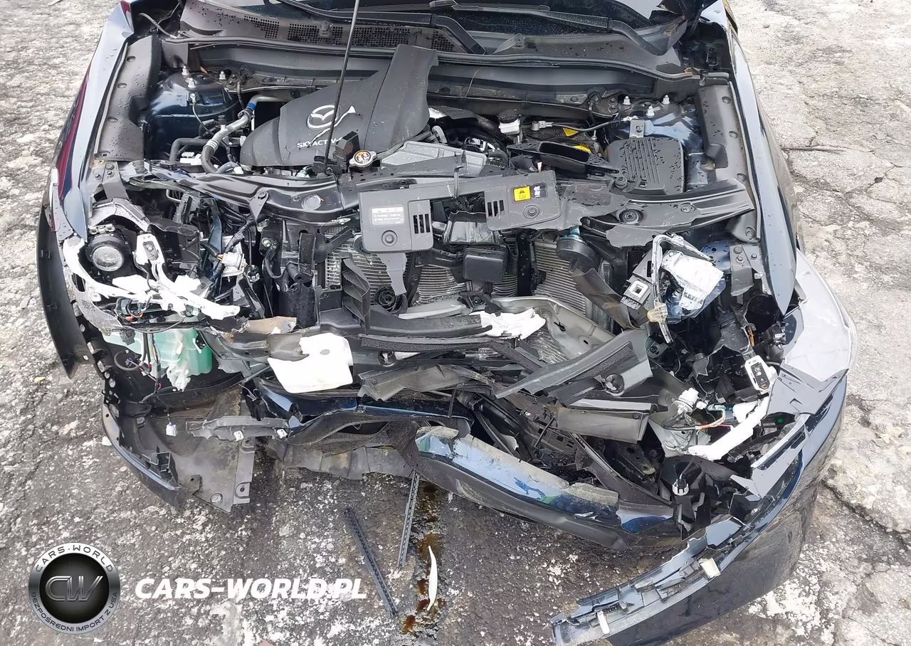 2024 Mazda Cx-5 2.5 S Premium Plus VIN:JM3KFBEL9R0472210 - 10