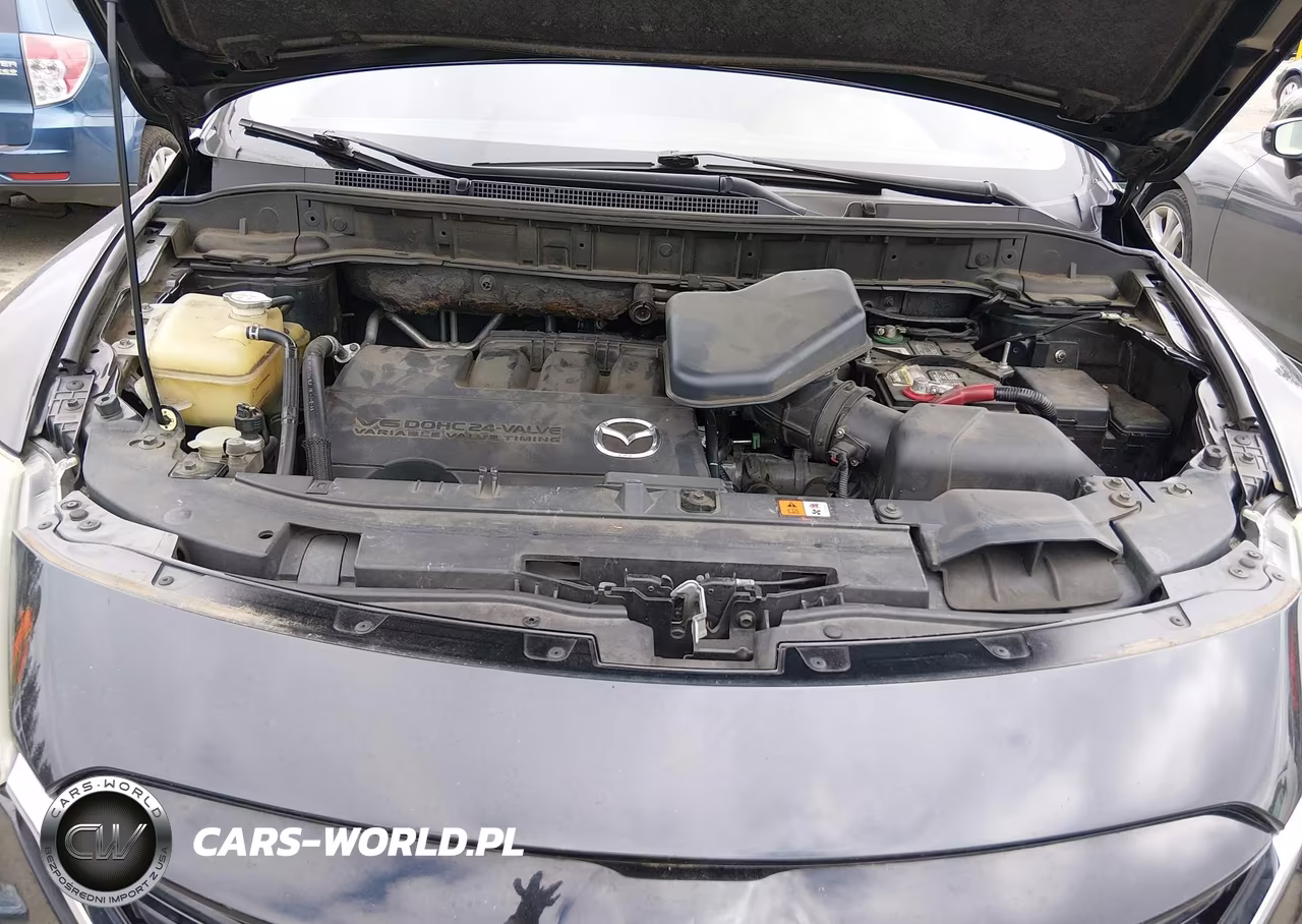 2014 Mazda Cx-9 Touring VIN:JM3TB3CV5E0428127 - 10