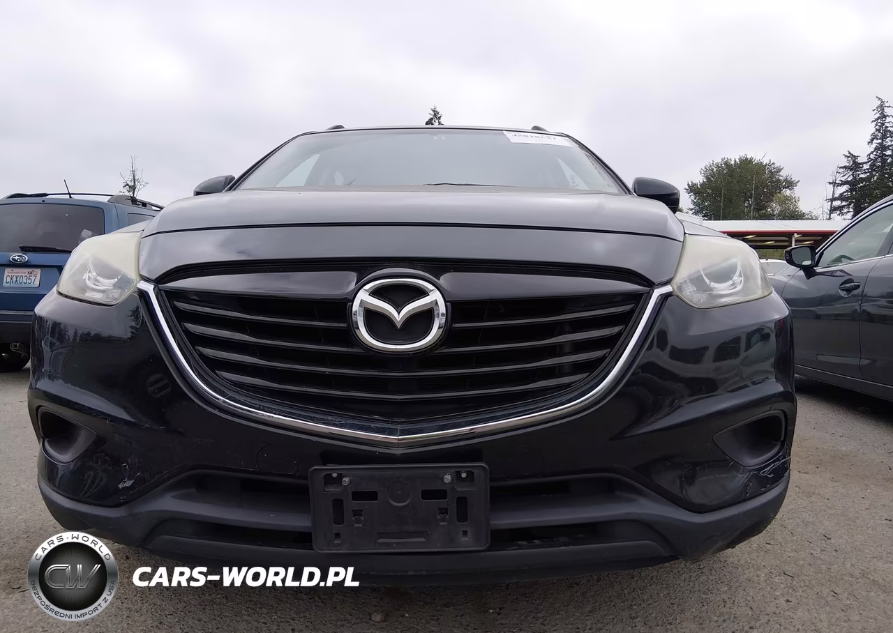 2014 Mazda Cx-9 Touring VIN:JM3TB3CV5E0428127 - 12