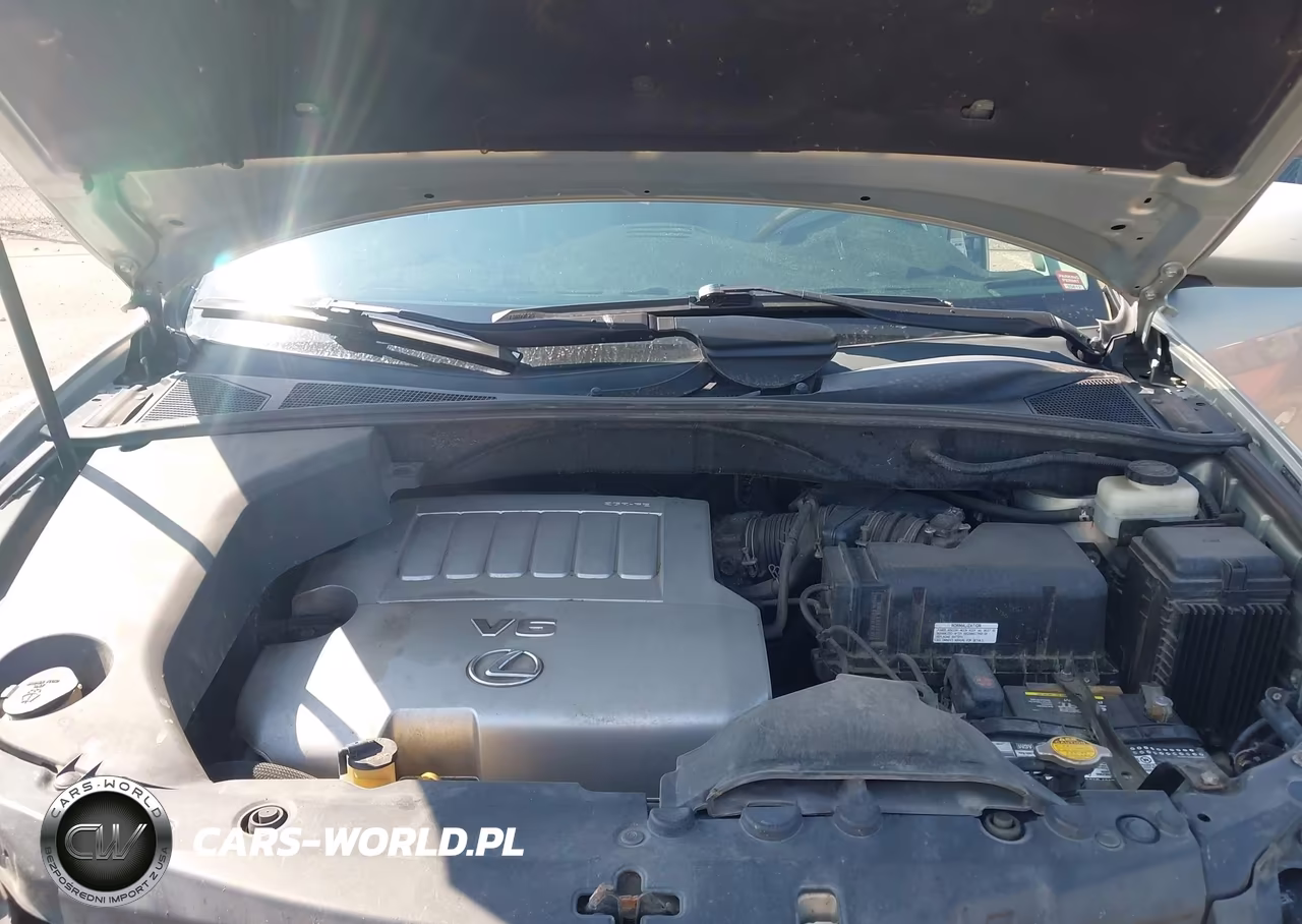 2009 Lexus Rx 350 VIN:2T2HK31UX9C112187 - 10