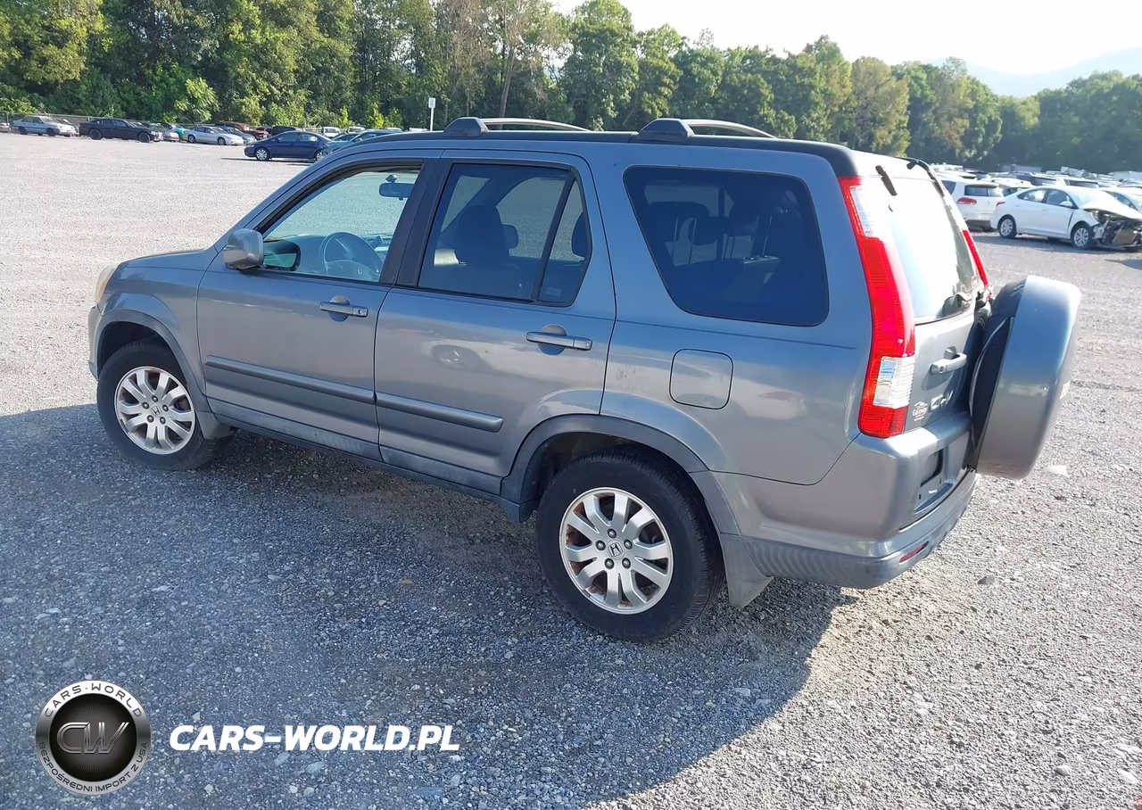 2005 Honda Cr-V Se VIN:SHSRD78925U319960 - 3