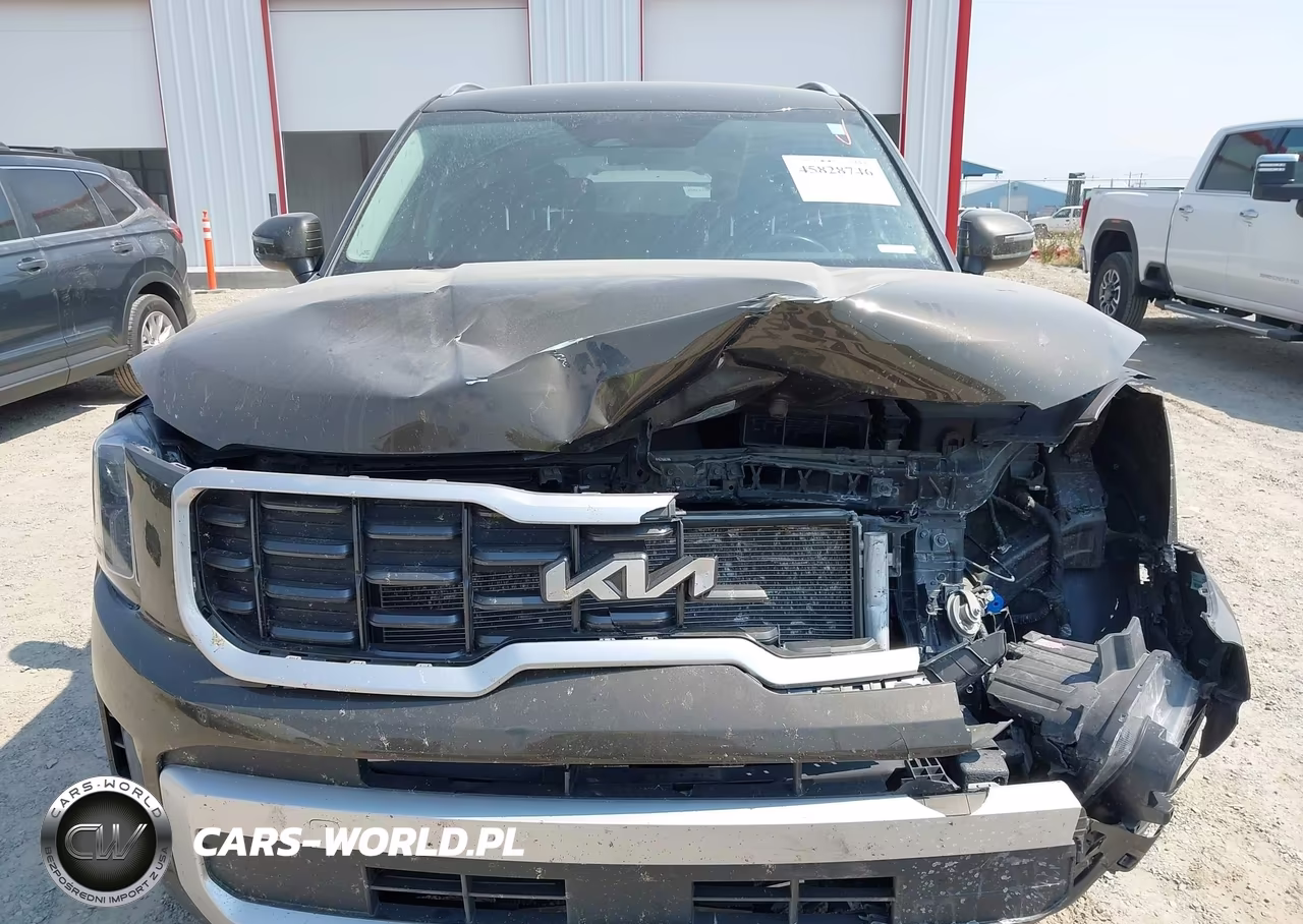 2024 Kia Telluride S VIN:5XYP6DGC3RG523590 - 13