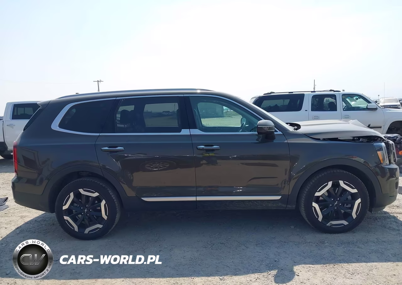 2024 Kia Telluride S VIN:5XYP6DGC3RG523590 - 14
