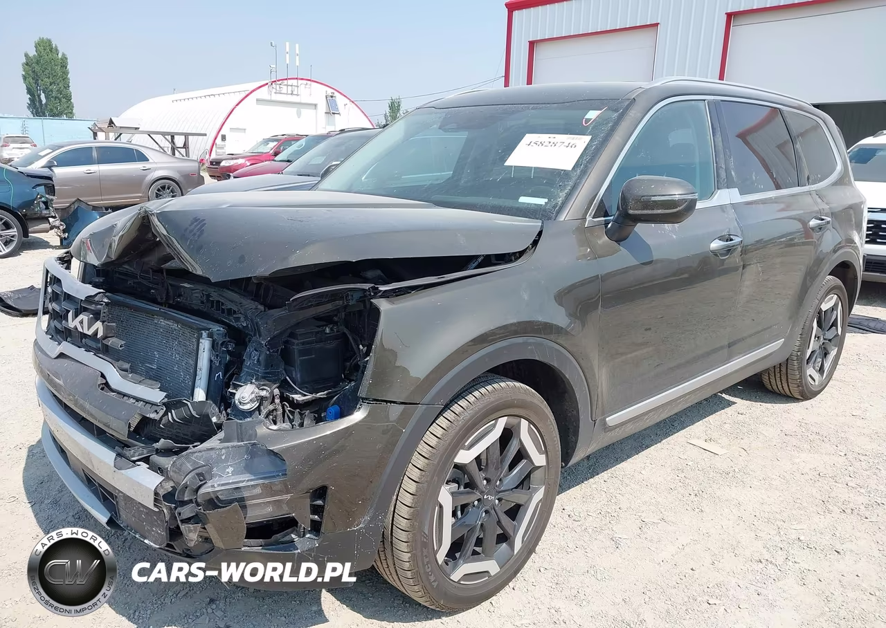 2024 Kia Telluride S VIN:5XYP6DGC3RG523590 - 2