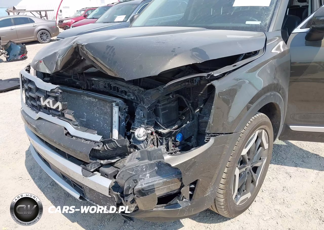 2024 Kia Telluride S VIN:5XYP6DGC3RG523590 - 6