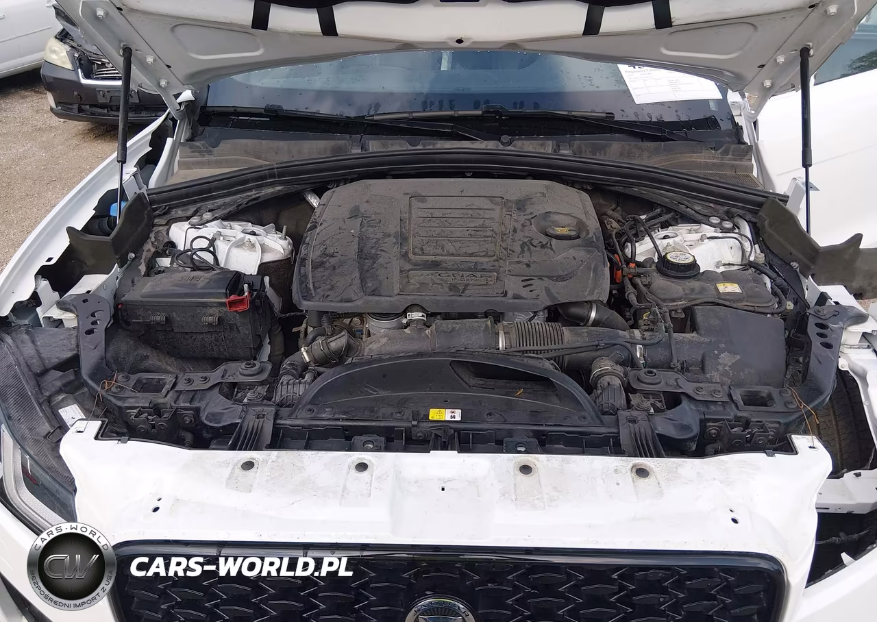2024 Jaguar F-Pace R-Dynamic S P250 Awd Automatic VIN:SADCT2EX8RA726271 - 10