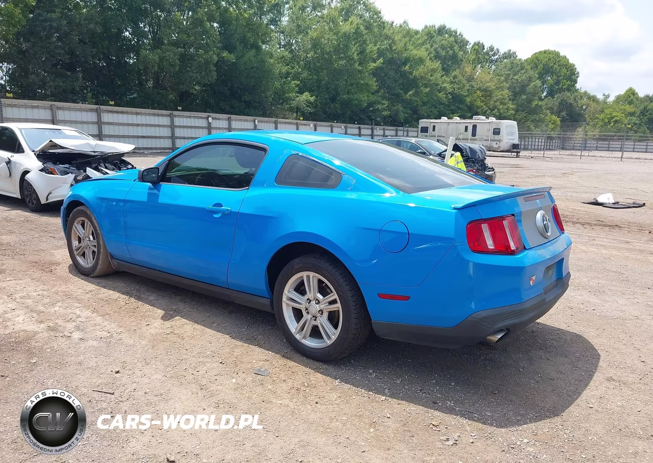 2011 Ford Mustang V6 VIN:1ZVBP8AMXB5112814 - 3