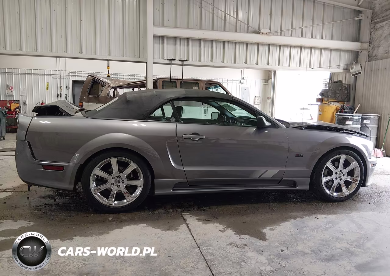 2006 Ford Mustang Gt VIN:1ZVFT85H165108778 - 13