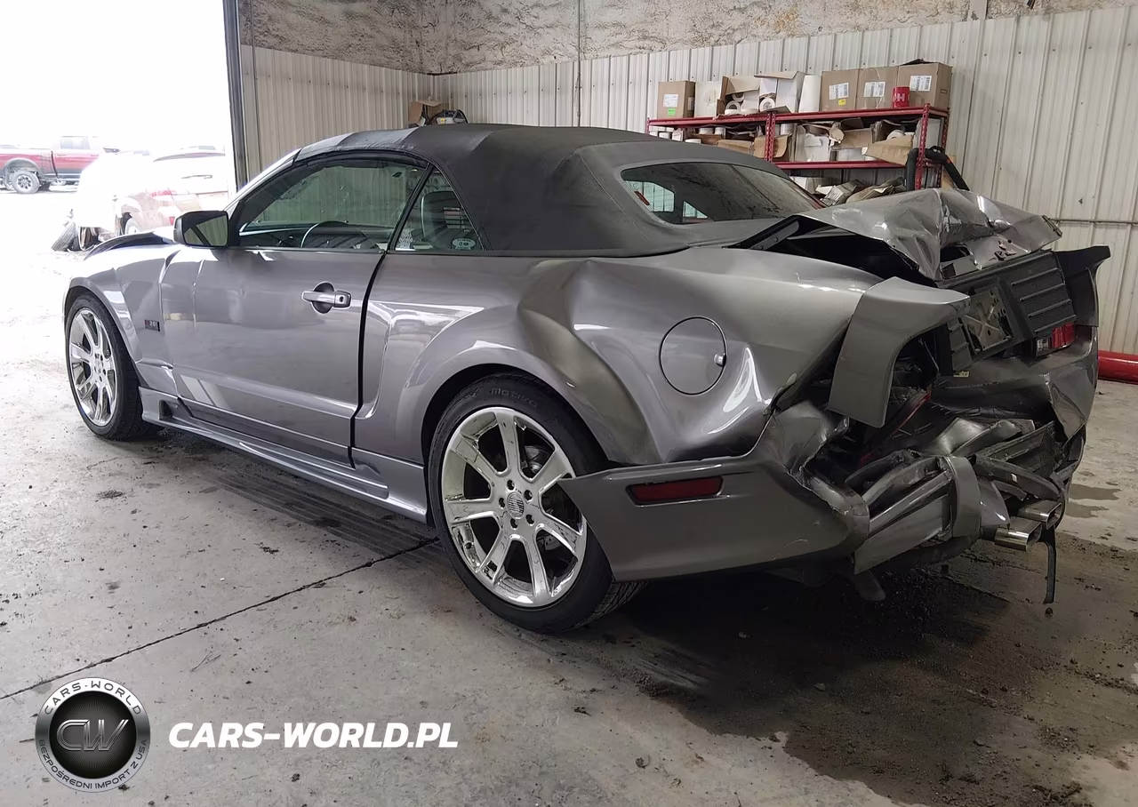 2006 Ford Mustang Gt VIN:1ZVFT85H165108778 - 3