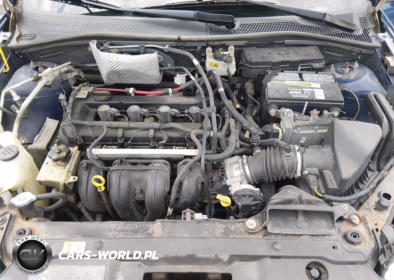 2009 Ford Focus Se VIN:1FAHP35N29W260355 - 10