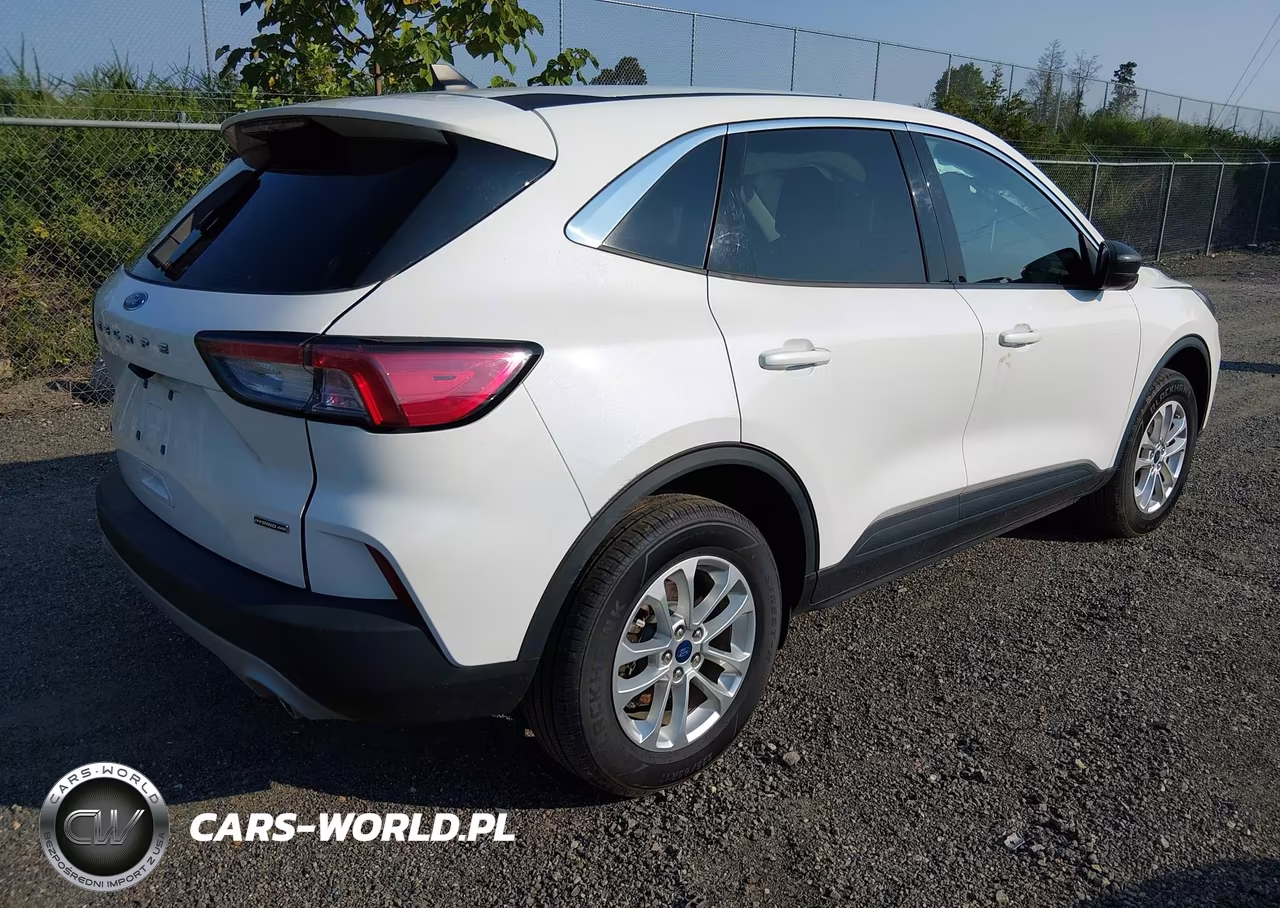 2022 Ford Escape Se Hybrid VIN:1FMCU9BZXNUA39420 - 4