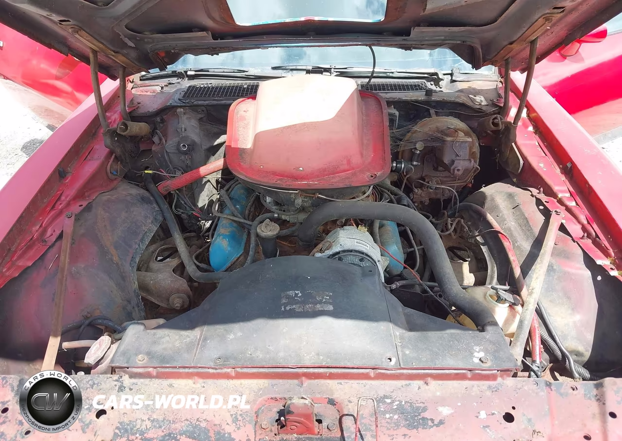 1980 Pontiac Firebird VIN:2S87WAN100993 - 10