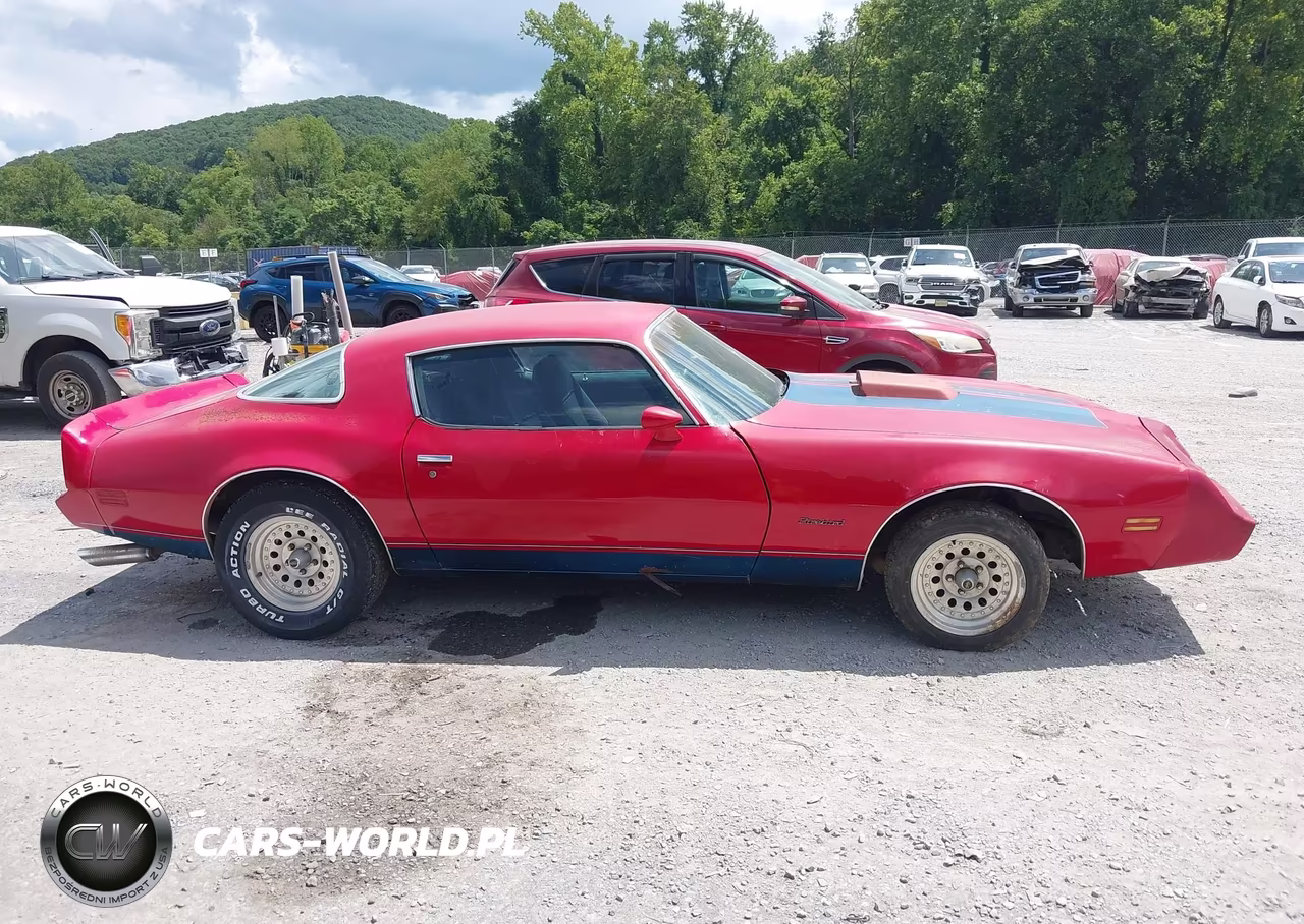 1980 Pontiac Firebird VIN:2S87WAN100993 - 13
