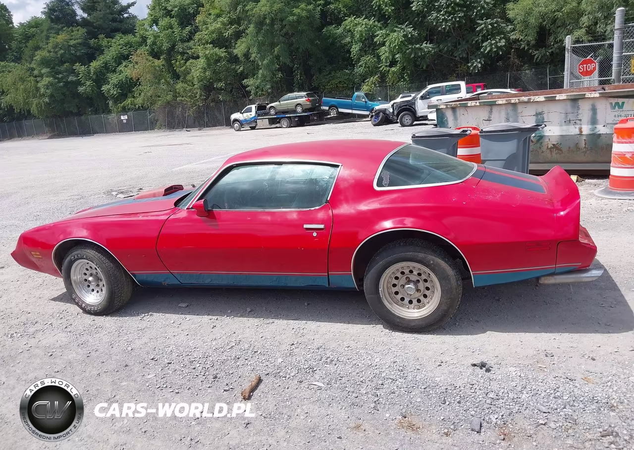 1980 Pontiac Firebird VIN:2S87WAN100993 - 14