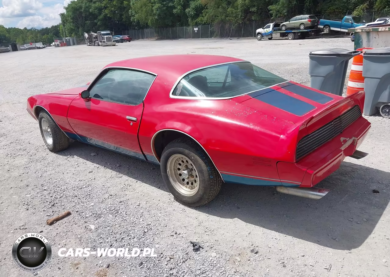 1980 Pontiac Firebird VIN:2S87WAN100993 - 3