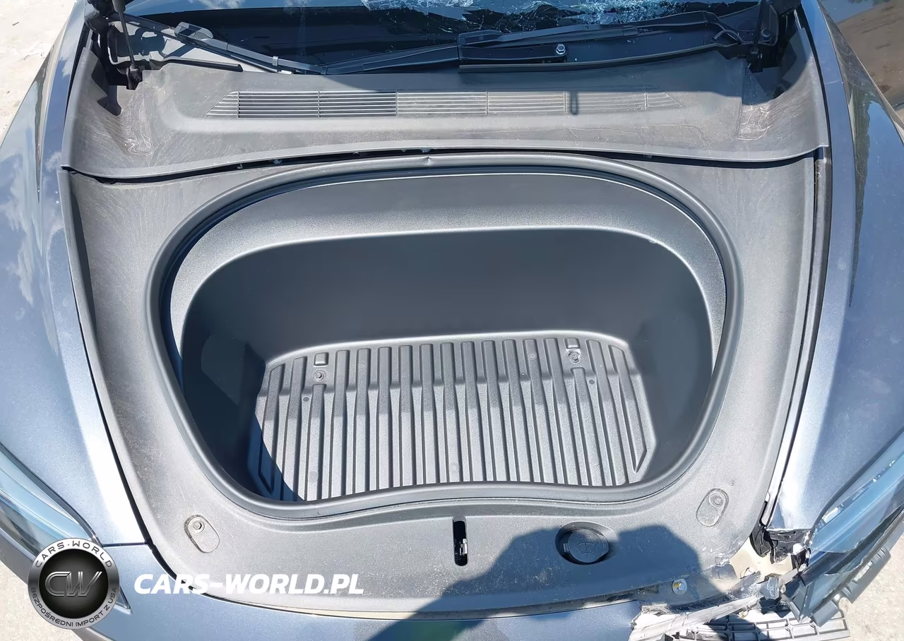 2025 Tesla Model 3 Long Range Rear-Wheel Drive-Standard Rear-Wheel Drive VIN:5YJ3E1EA6SF917079 - 10